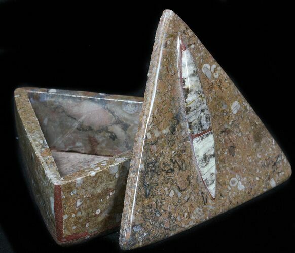 Fossil Orthoceras Box (Triangle) - Stoneware #35277